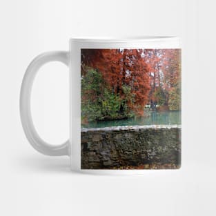 Autumn in the park Mug